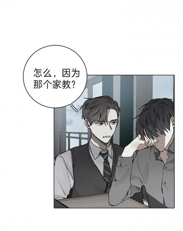 达成协议签订协议漫画,第79话2图