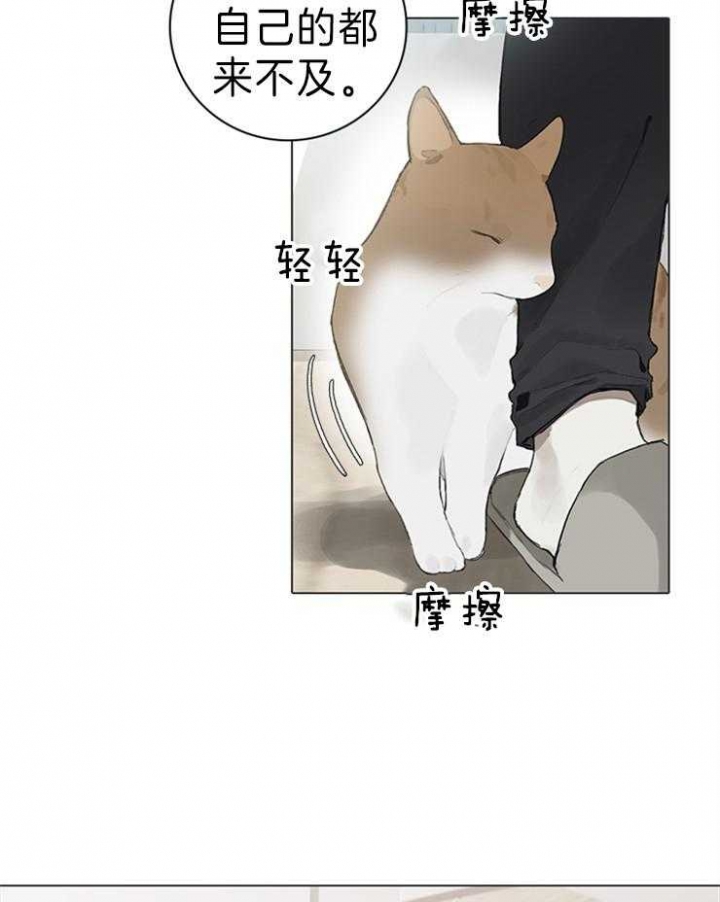 达成协议后可以反悔吗漫画,第63话1图