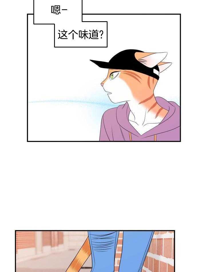 蓝色计划漫画,第25话1图