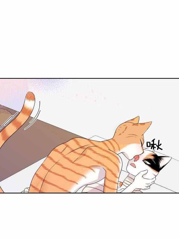 蓝色计划漫画,第49话1图
