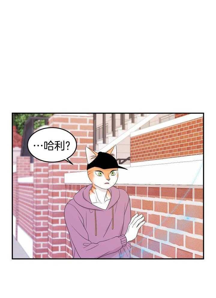 蓝色计划漫画,第25话1图