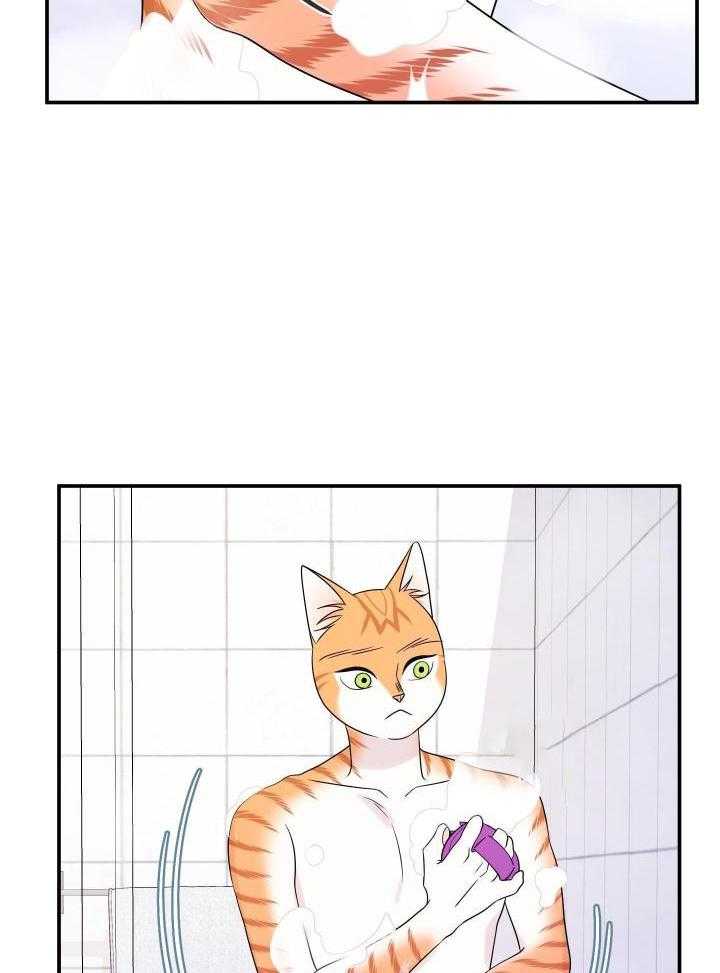 蓝色计划漫画,第33话2图