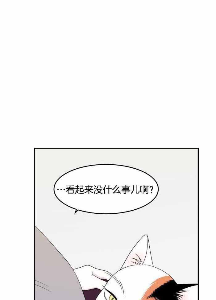 蓝色背景图漫画,第59话2图