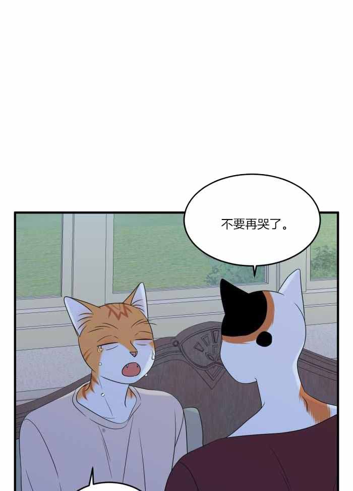 蓝色计划漫画,第71话1图