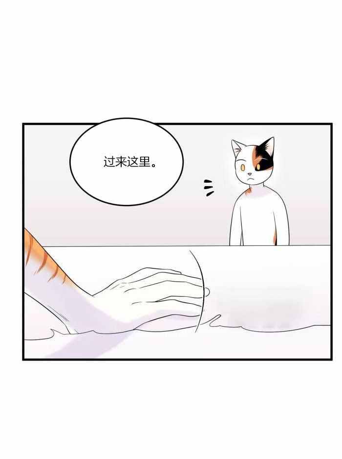 蓝色计划漫画,第76话1图