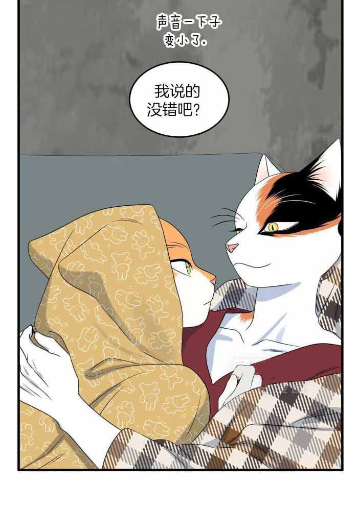 蓝色计划漫画,第97话1图