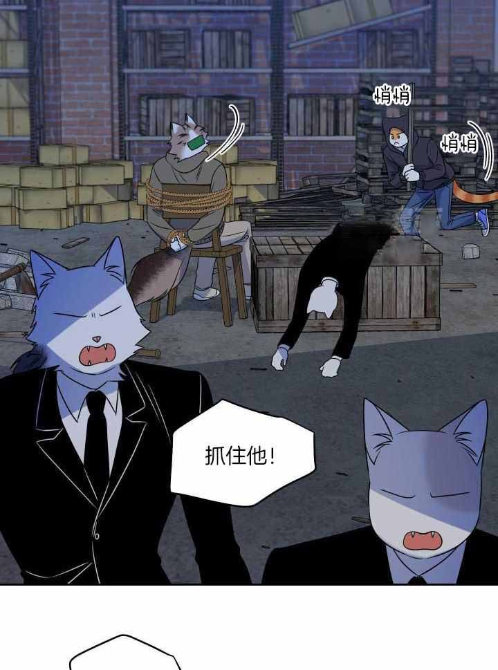 蓝色计划漫画,第39话1图