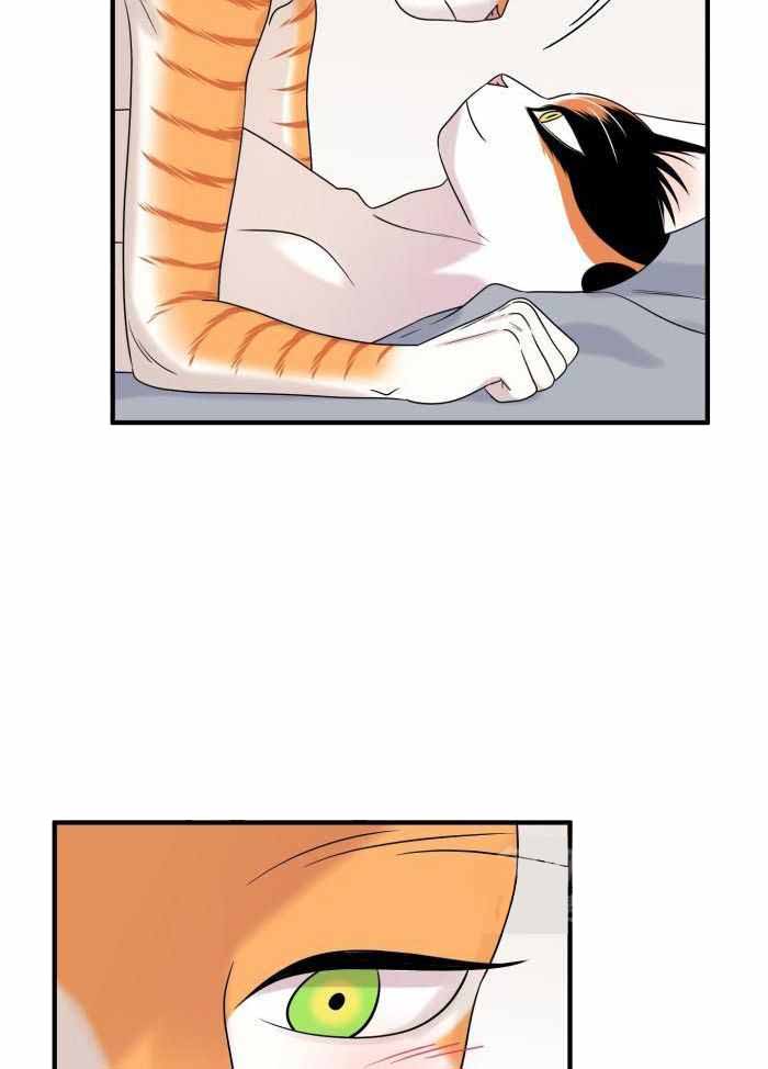 蓝色计划漫画,第100话1图