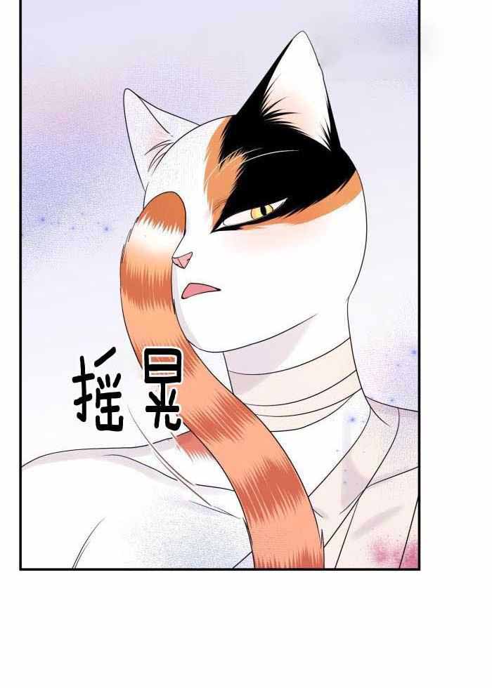 蓝色计划漫画,第50话2图
