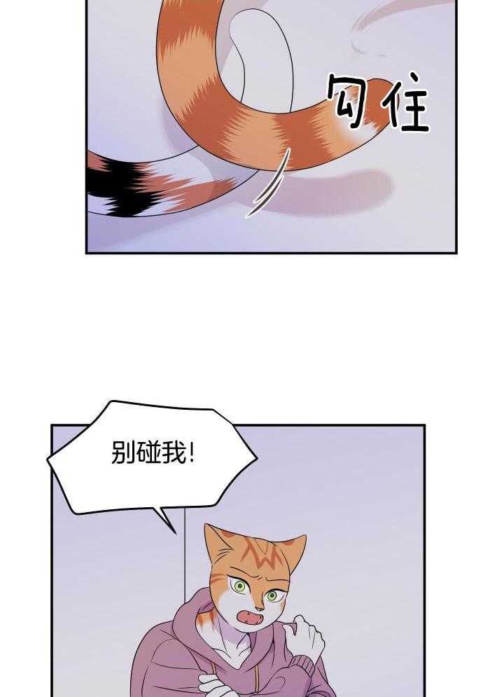 蓝色计划漫画,第29话1图