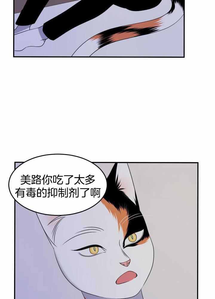 蓝色计划在哪里能看漫画,第31话2图