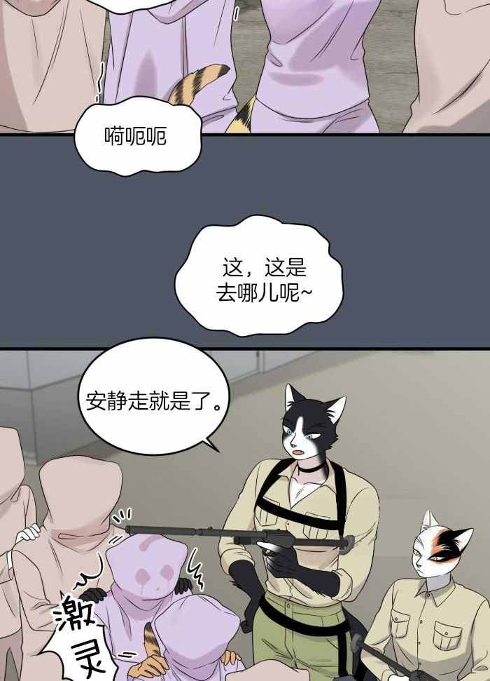 蓝色计划漫画,第85话1图