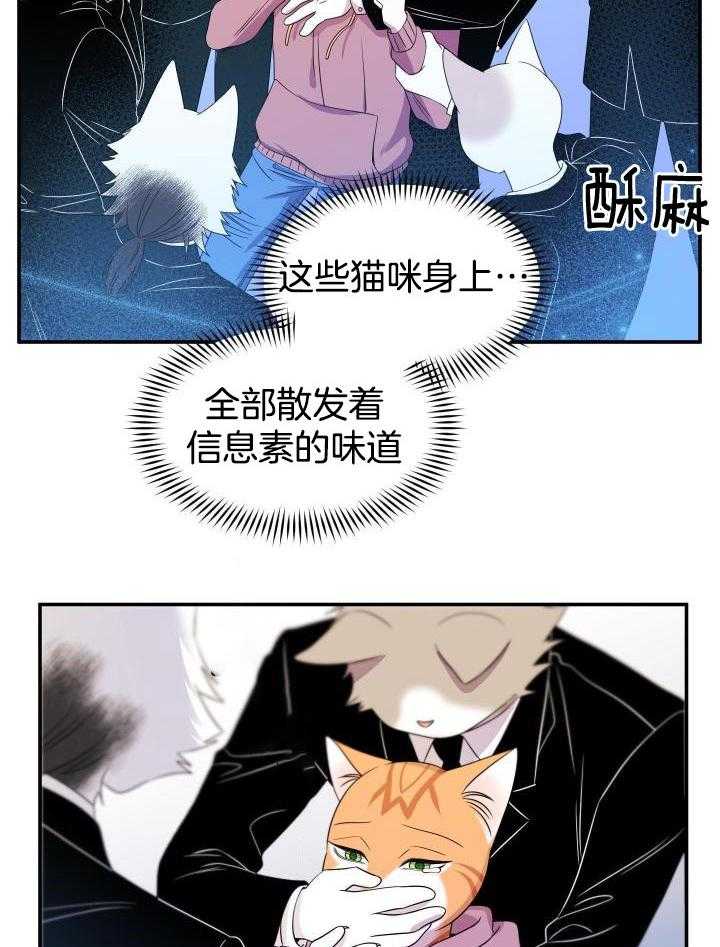 蓝色计划漫画,第26话1图