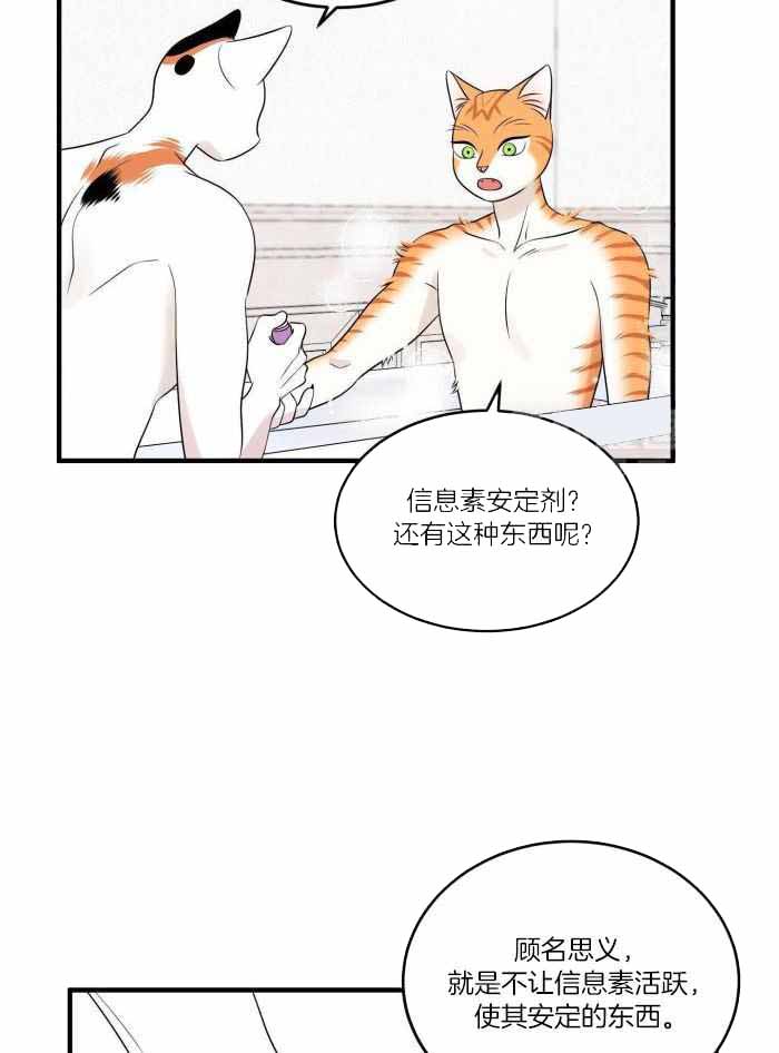 蓝色计划漫画,第74话2图