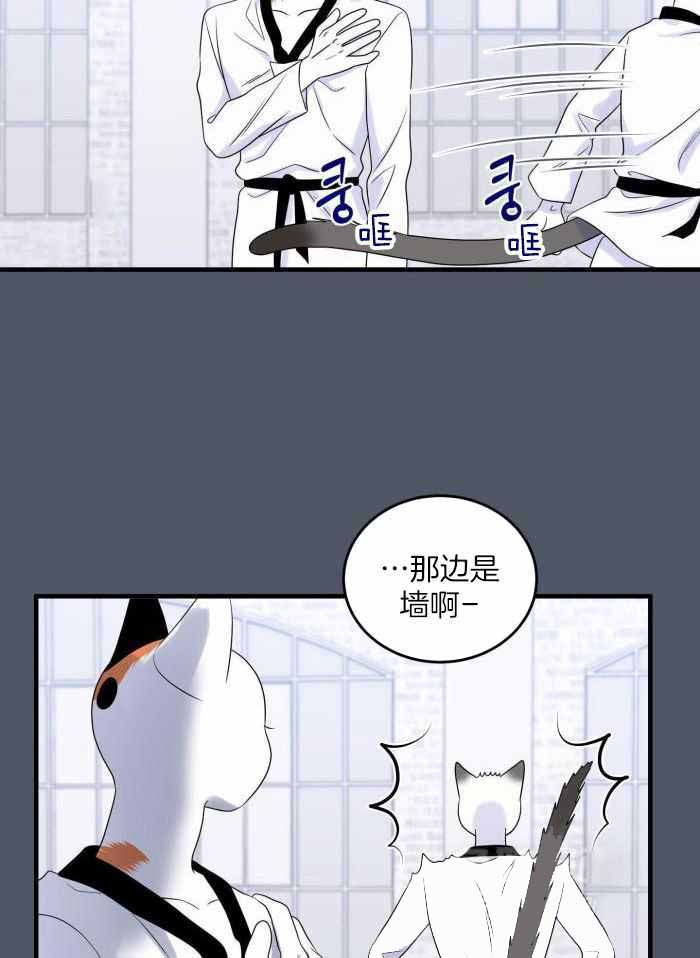 蓝色计划漫画,第82话1图