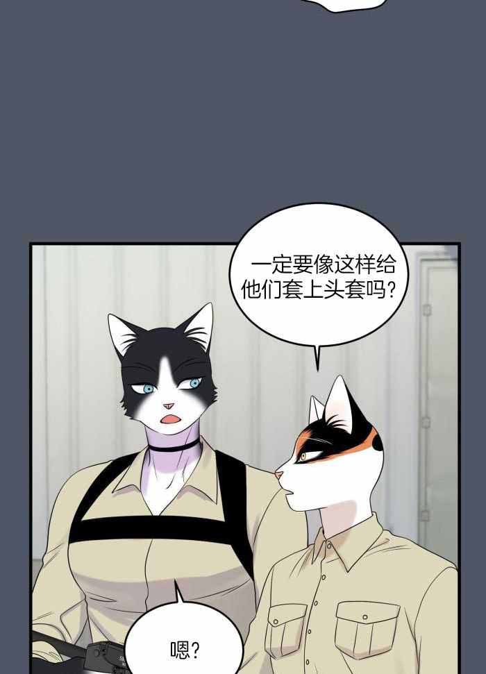 蓝色计划漫画,第85话1图