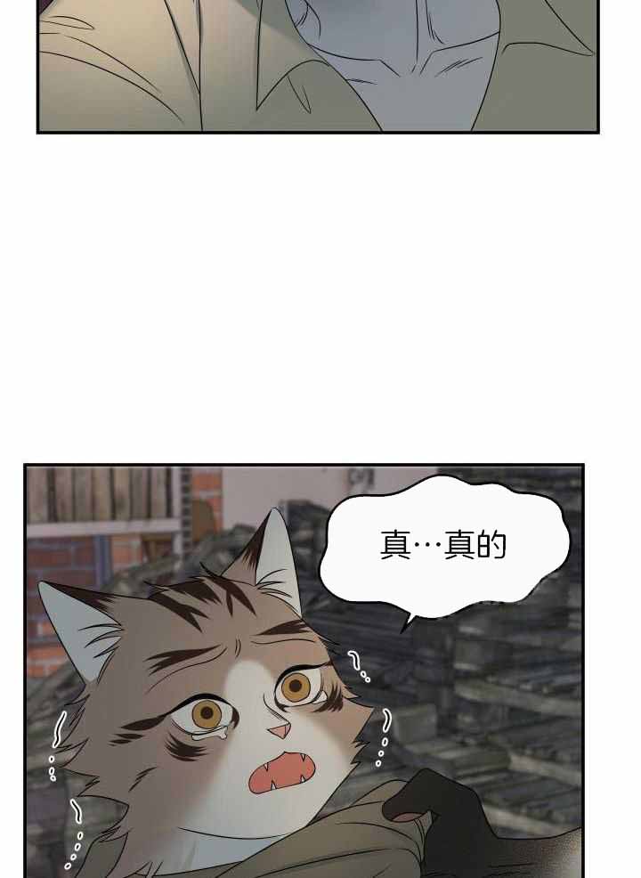 蓝色计划在哪里能看漫画,第30话2图