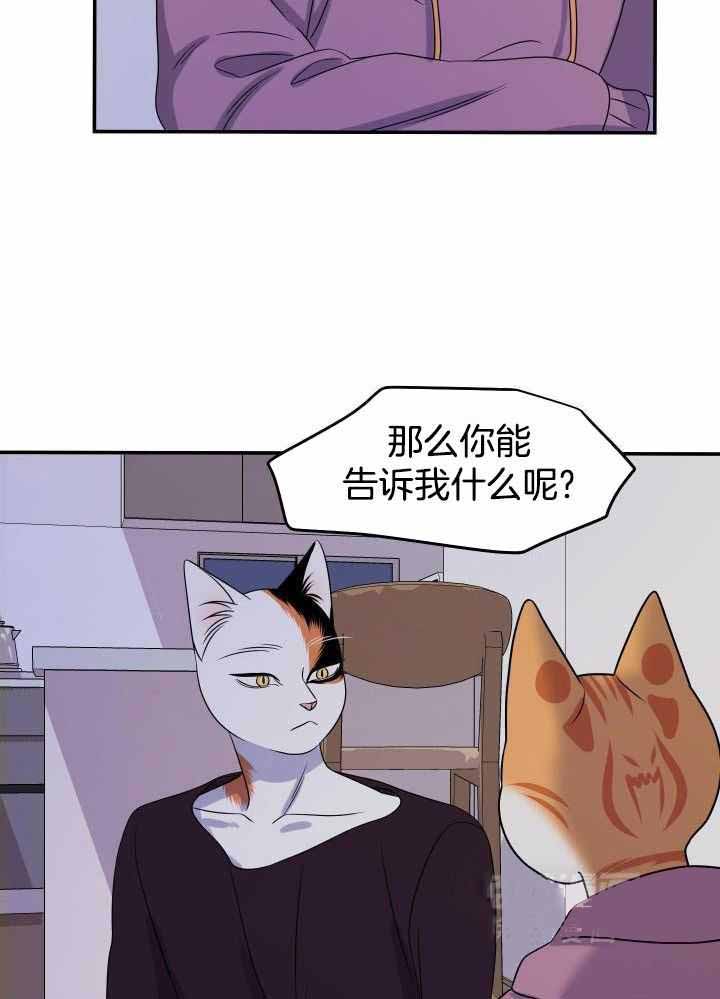 蓝色计划漫画,第31话1图