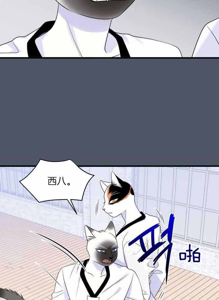 蓝色计划漫画,第82话1图