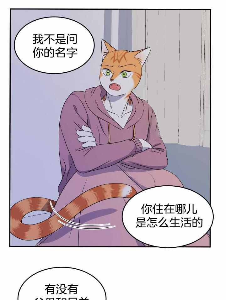 蓝色计划漫画,第31话2图
