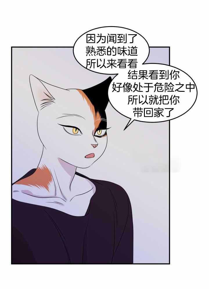 蓝色计划漫画,第29话2图