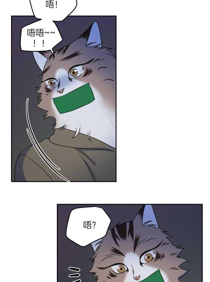 蓝色计划漫画,第39话2图