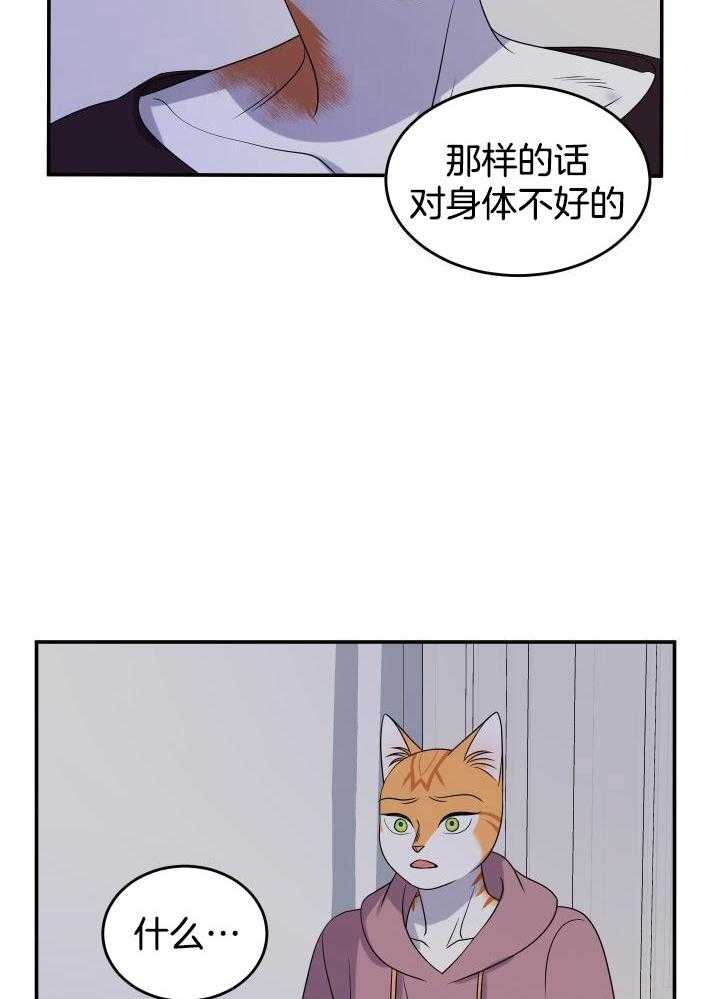 蓝色计划在哪里能看漫画,第31话1图