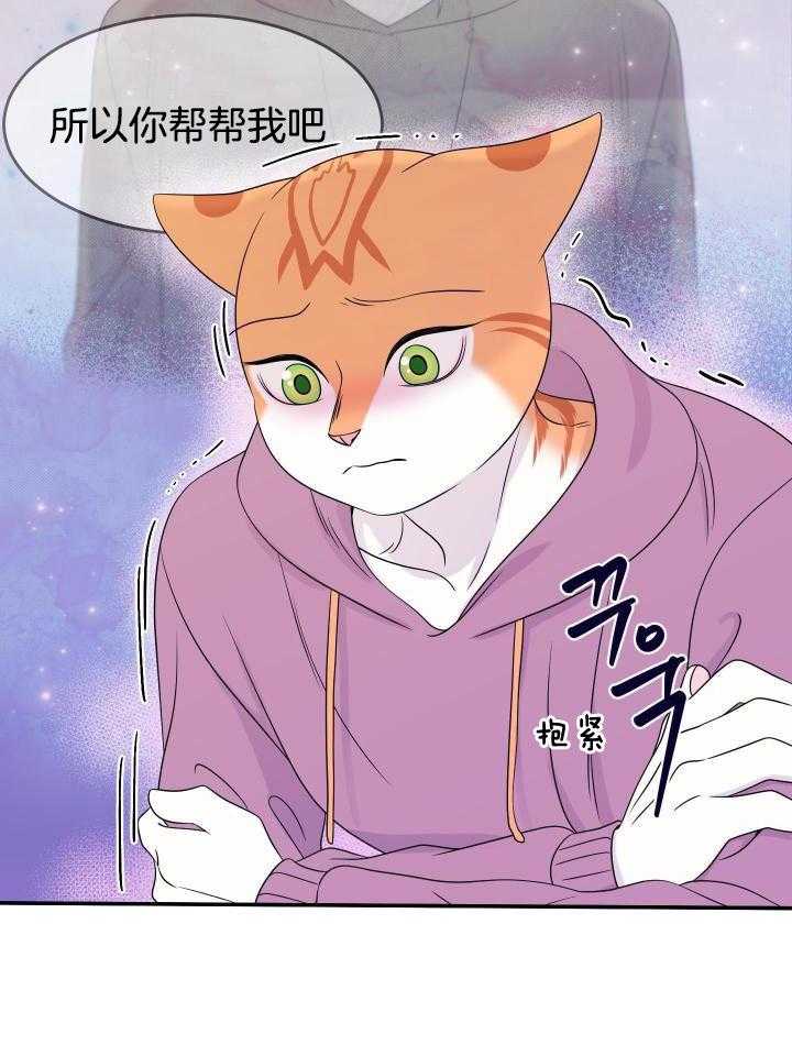 蓝色计划在哪里能看漫画,第28话1图