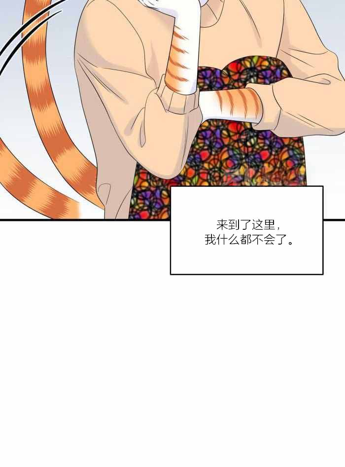 蓝色计划漫画,第73话1图