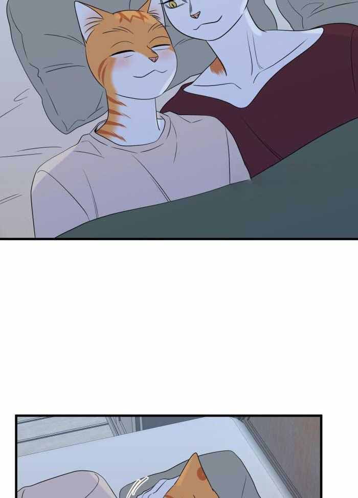 蓝色计划在哪里能看漫画,第71话2图