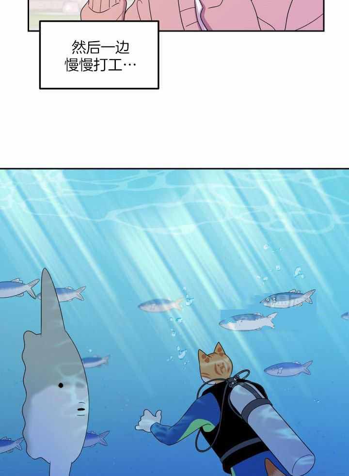 蓝色计划漫画,第43话1图