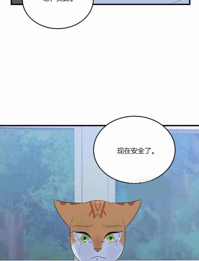 蓝色计划在哪里能看漫画,第70话1图