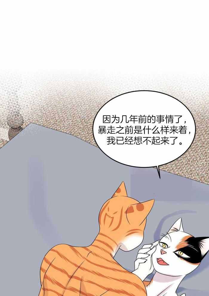 蓝色计划漫画,第100话2图