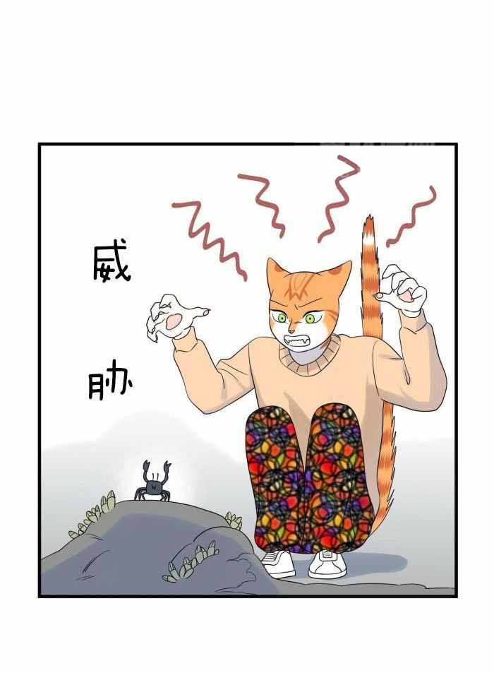 蓝色计划漫画,第72话1图