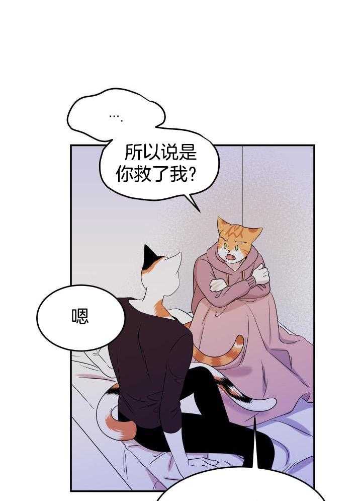 蓝色计划漫画,第29话1图