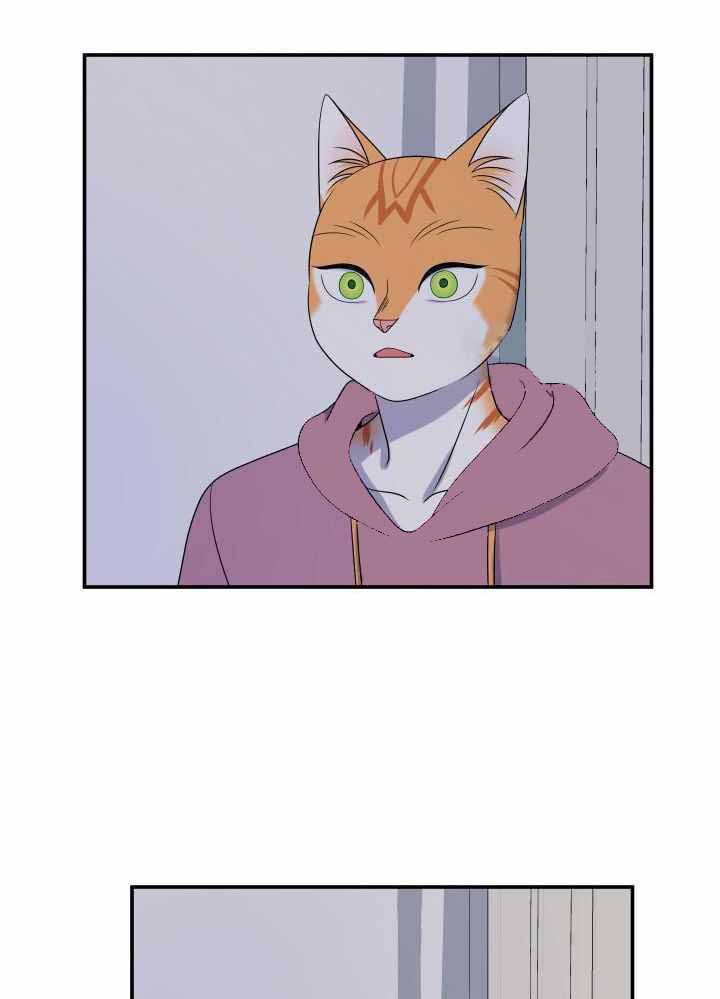 蓝色计划漫画,第31话2图