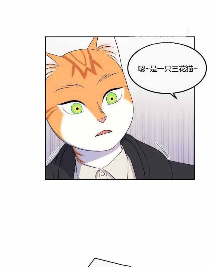 蓝色计划漫画,第46话1图
