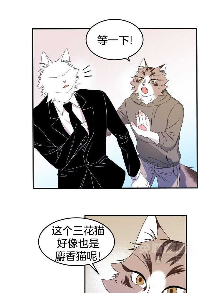 蓝色计划漫画,第26话1图