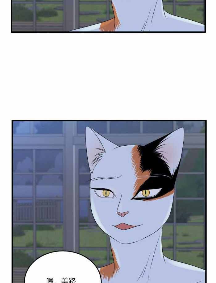 蓝色计划在哪里能看漫画,第70话2图