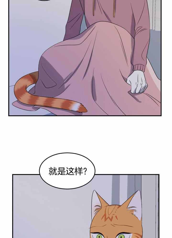 蓝色计划在哪里能看漫画,第31话2图