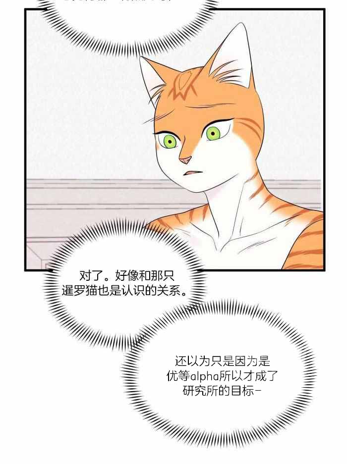 蓝色计划漫画,第76话1图