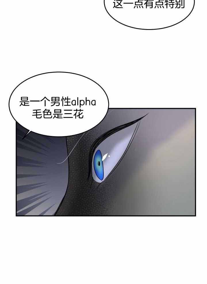 蓝色计划漫画,第30话1图
