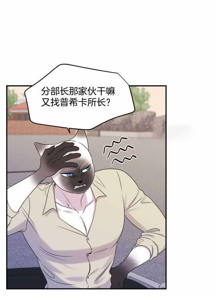 蓝色计划漫画,第63话1图