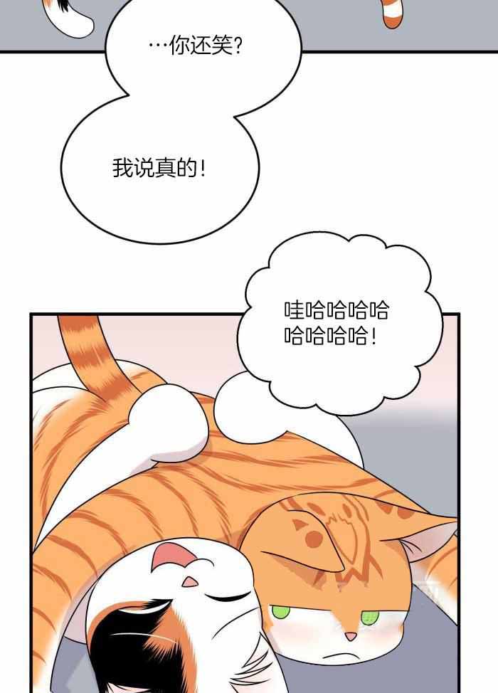 蓝色计划漫画,第100话1图