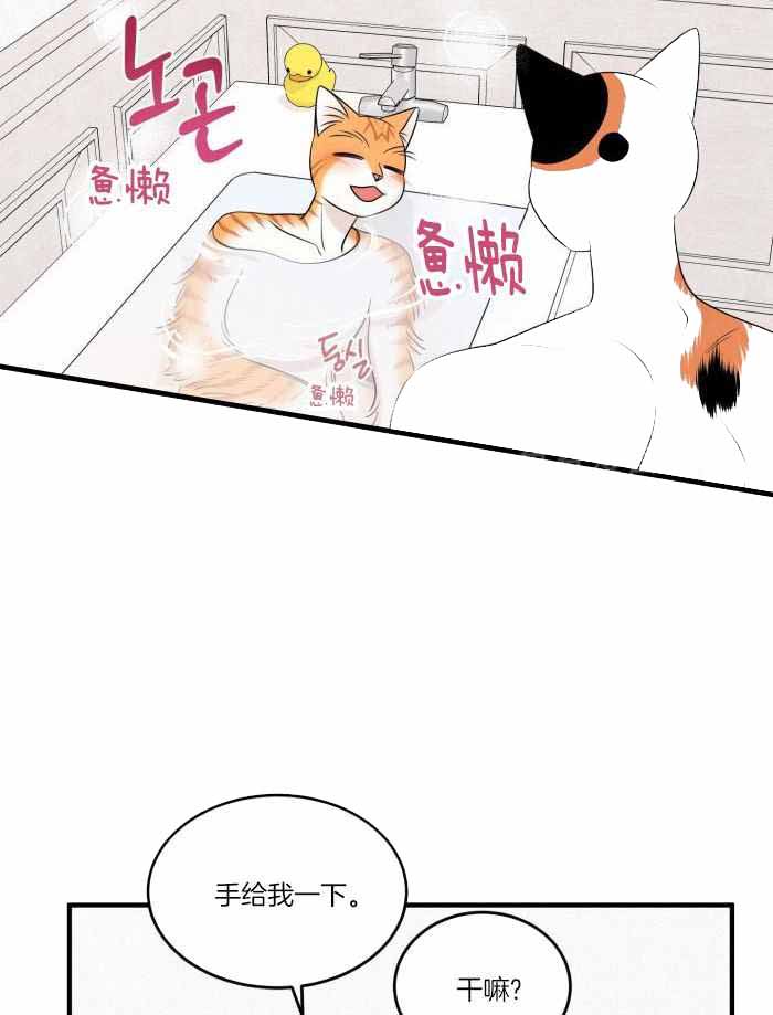 蓝色计划漫画,第74话2图
