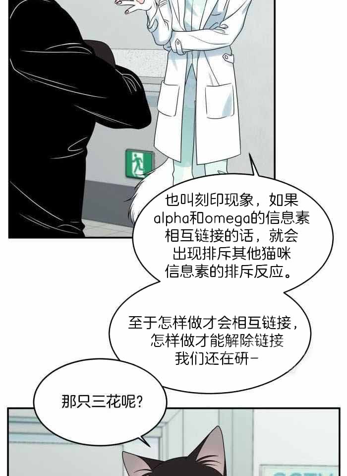 蓝色计划漫画,第63话2图