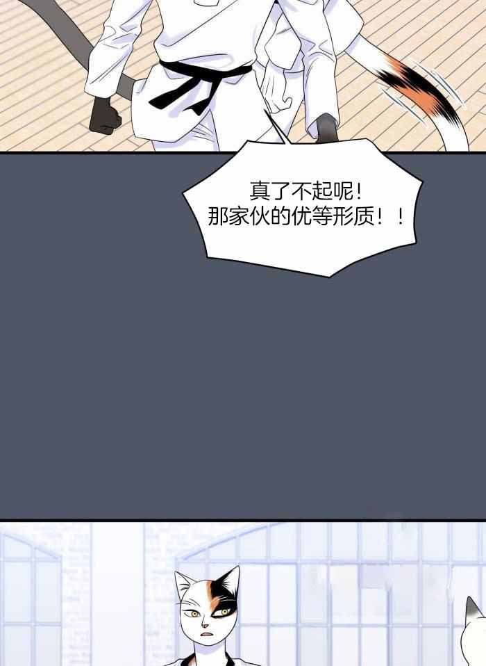 蓝色计划漫画,第82话2图