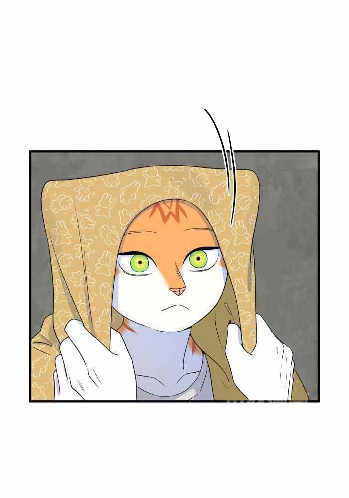 蓝色计划漫画,第97话1图