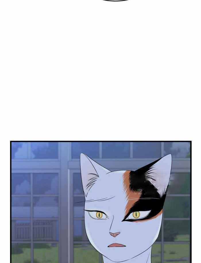 蓝色计划在哪里能看漫画,第70话1图