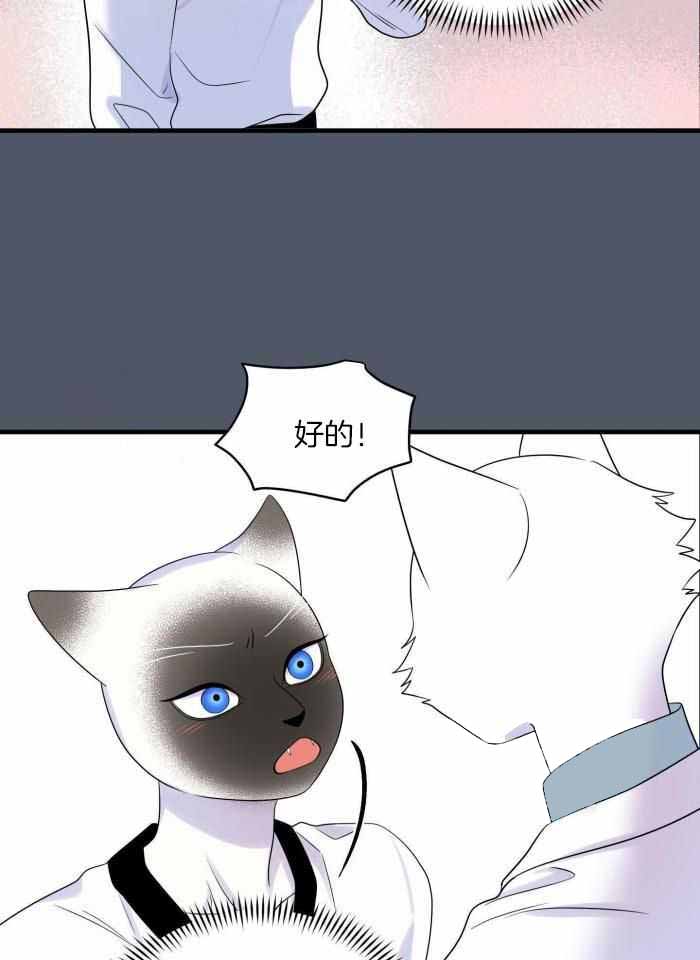蓝色计划漫画,第83话1图